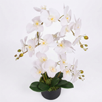 65cm  Design Uk Realistic Artificial Orchid Flower Display In Pot