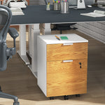 2 Drawer Filing Cabinet With Adjustable Hanging Bars