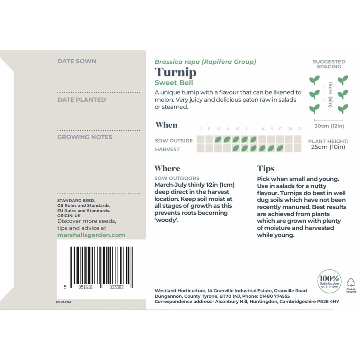 Sweetbell F1 Turnip | 100 Seeds | Purple & Green