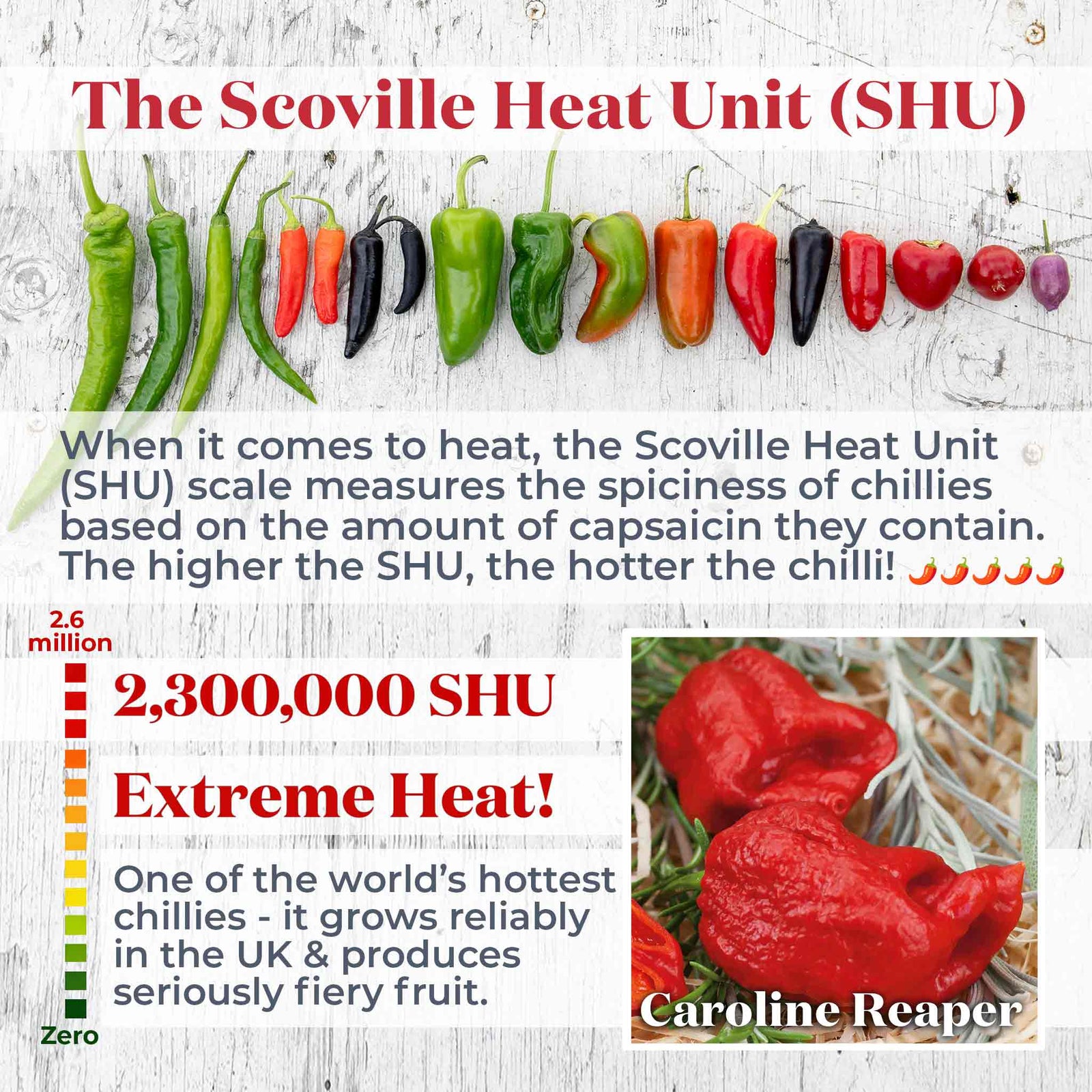 Chilli Flavour Collection Hot, Mild And Smoky | 6 x 9cm | Multi