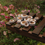 Coircoins 38mm Pack Of 50