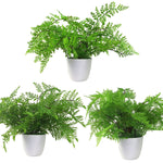 Artificial Pack Of 3 X 30cm Ferns Southern Wood Lady And Royal Potted