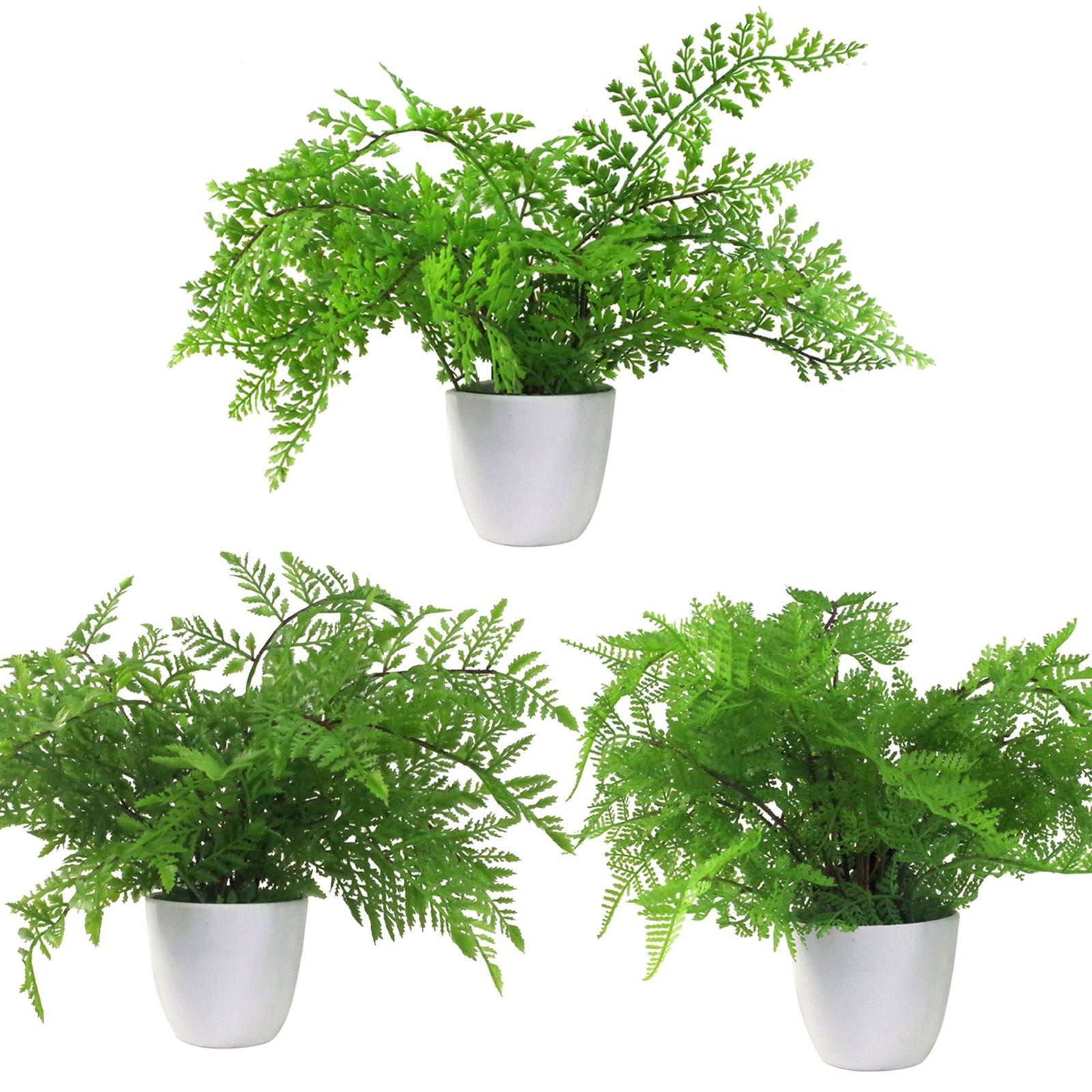 Artificial Pack Of 3 X 30cm Ferns Southern Wood Lady And Royal Potted