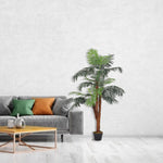 150cm H Artificial Windmill Palm Decorative Plant In Planter