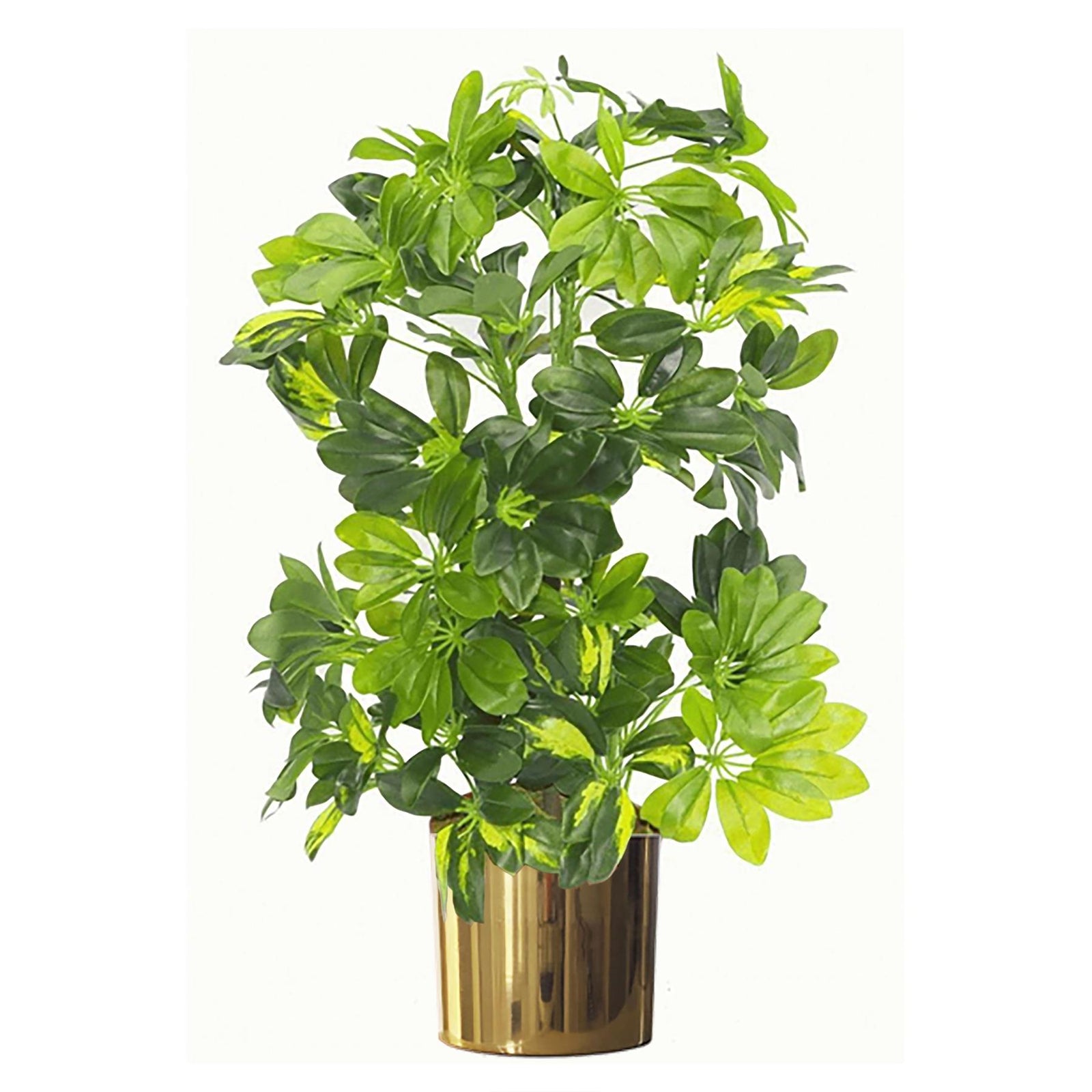18cm Leaf Modern Planter Gold