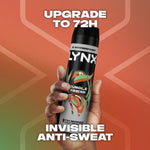 Jungle Fresh Antiperspirant Spray 72h Protection Deodorant 200ml | Set of 24