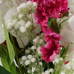 Pack Of 6 X 100cm Artificial Phalaenopsis Orchid White Stem