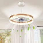 Ceiling Fan Light With 3 Colour, Timer, Reversible, Remote | One Size | Gold