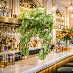 35cm Artificial Trailing Light Natural Look Plant