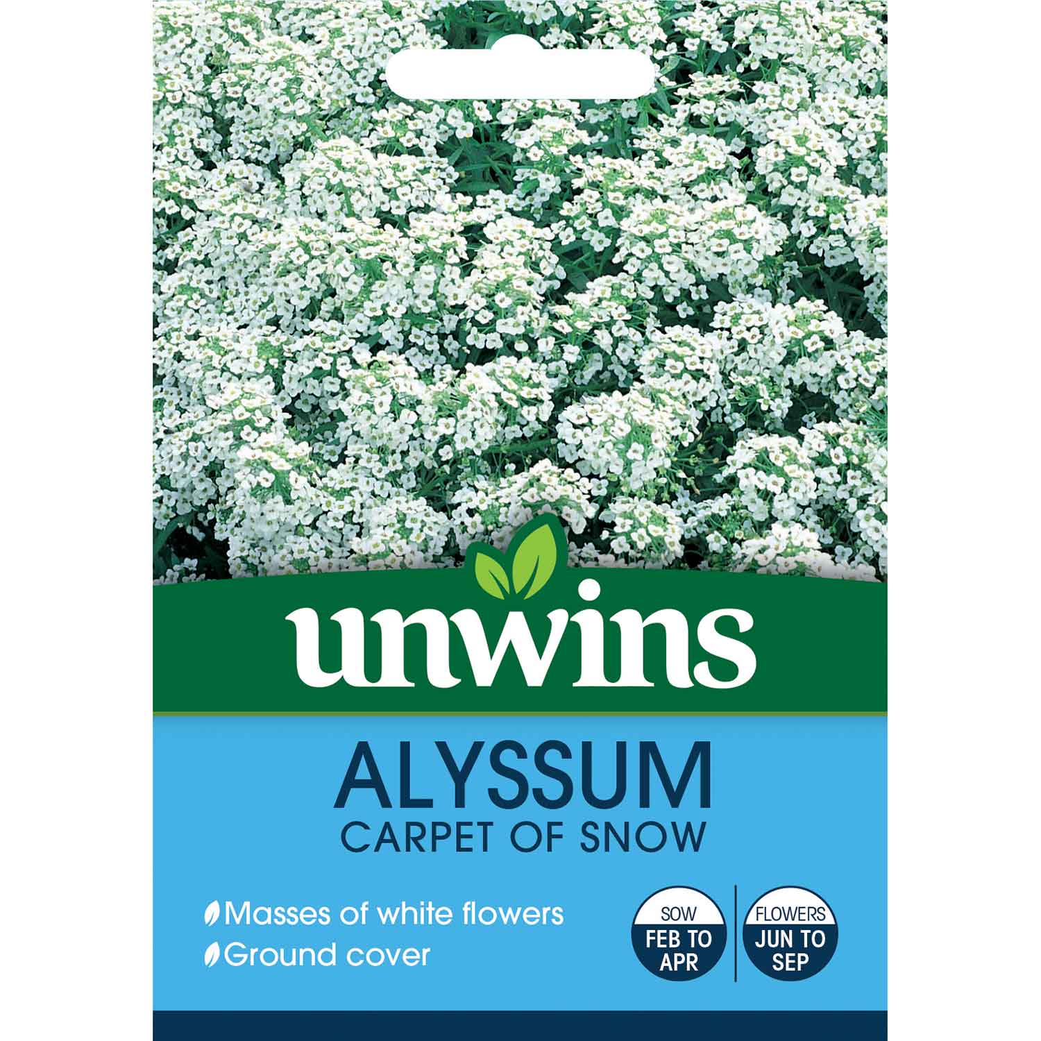 Alyssum 'carpet Of Snow' Seeds | 800 Seeds | White
