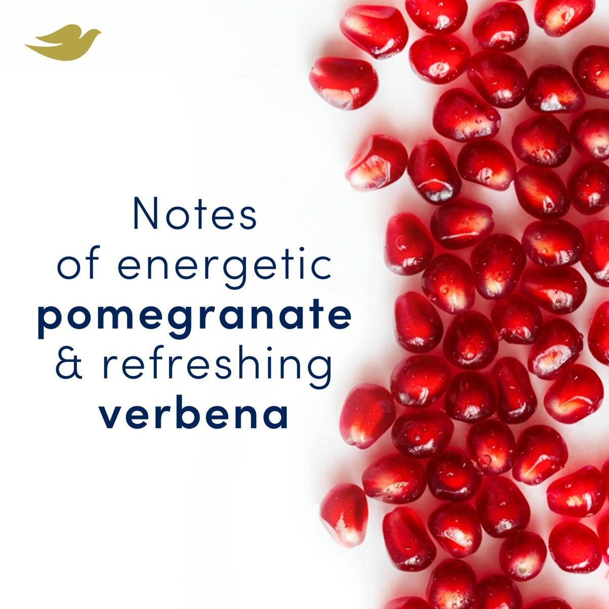 Antiperspirant Deo Go Fresh Pomegranate 72h Protection, 12 X 200ml