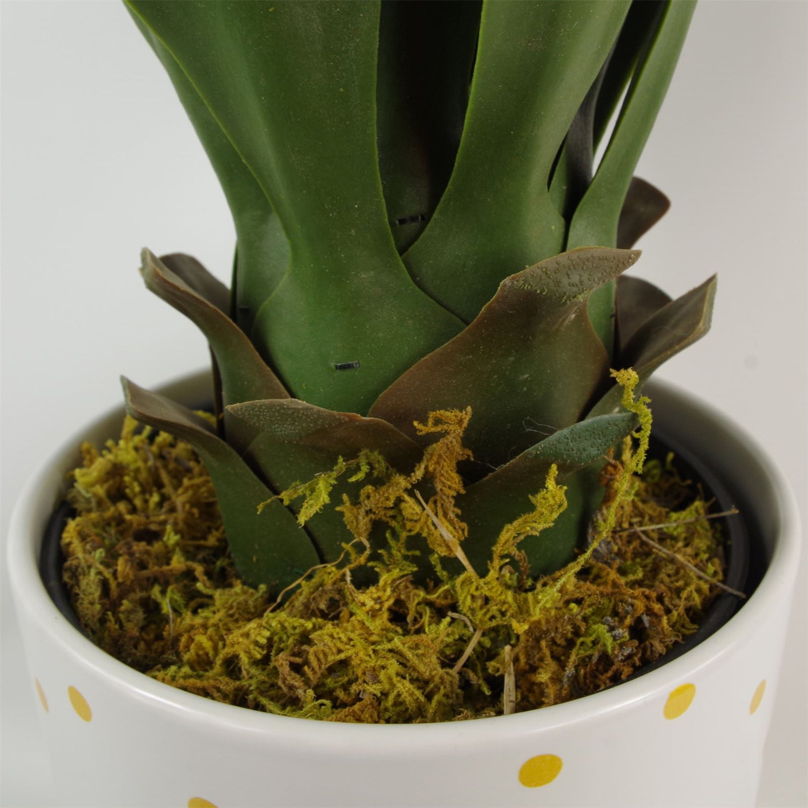 55cm Artificial Yucca Plant