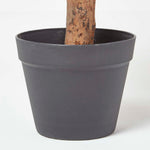 Artificial Peony Tree In Black Pot, 100 Cm Tall | 100cm | Orange
