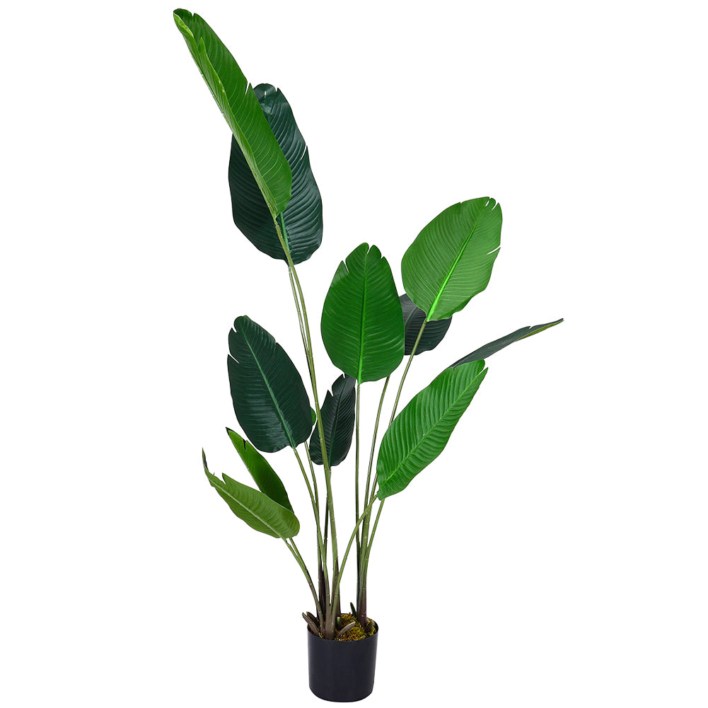 160cm/180cm Tall Artificial Banana Leaf Tree Faux Large Plants In Pot | Large