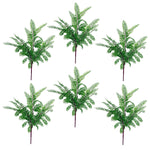 6 X 55cm Himilayan Maidenhair Fern Bush Dark Green Plant
