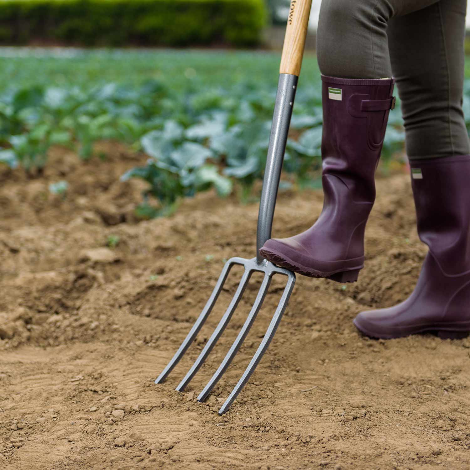 Carbon Steel Border Digging Fork 110 Cm | 60cm x 110cm
