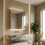 60cm X 70cm Rectangular Led Bathroom Mirror Cabinet With Double Doors, Adjustable Shelves