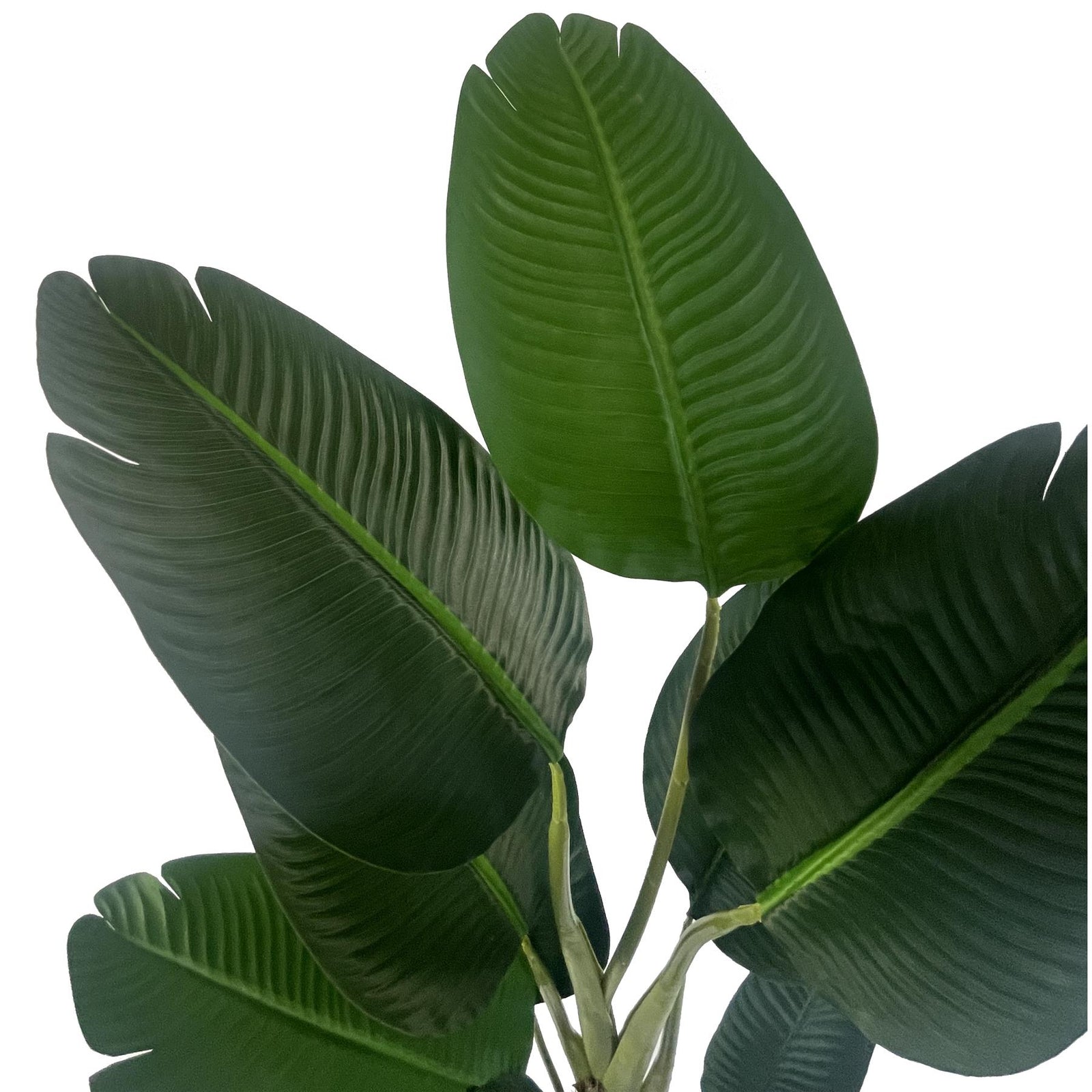 150cm Artificial Uv Traveller Banana Palm Tree