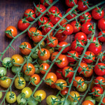 Cherry Baby Tomato Seeds | 20 Seeds