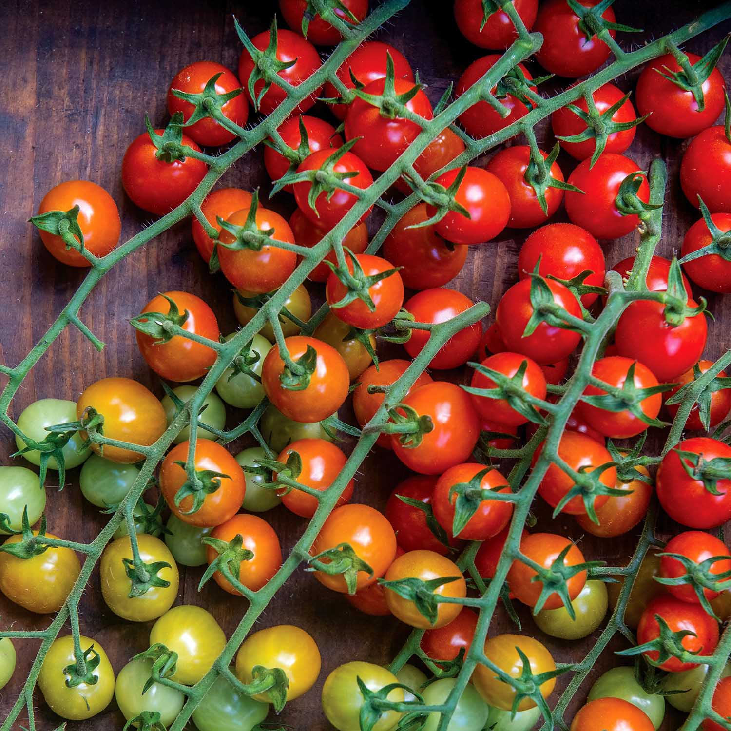 Cherry Baby Tomato Seeds | 20 Seeds