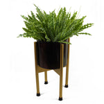 Artificial 40cm Crocodile Fern Plant