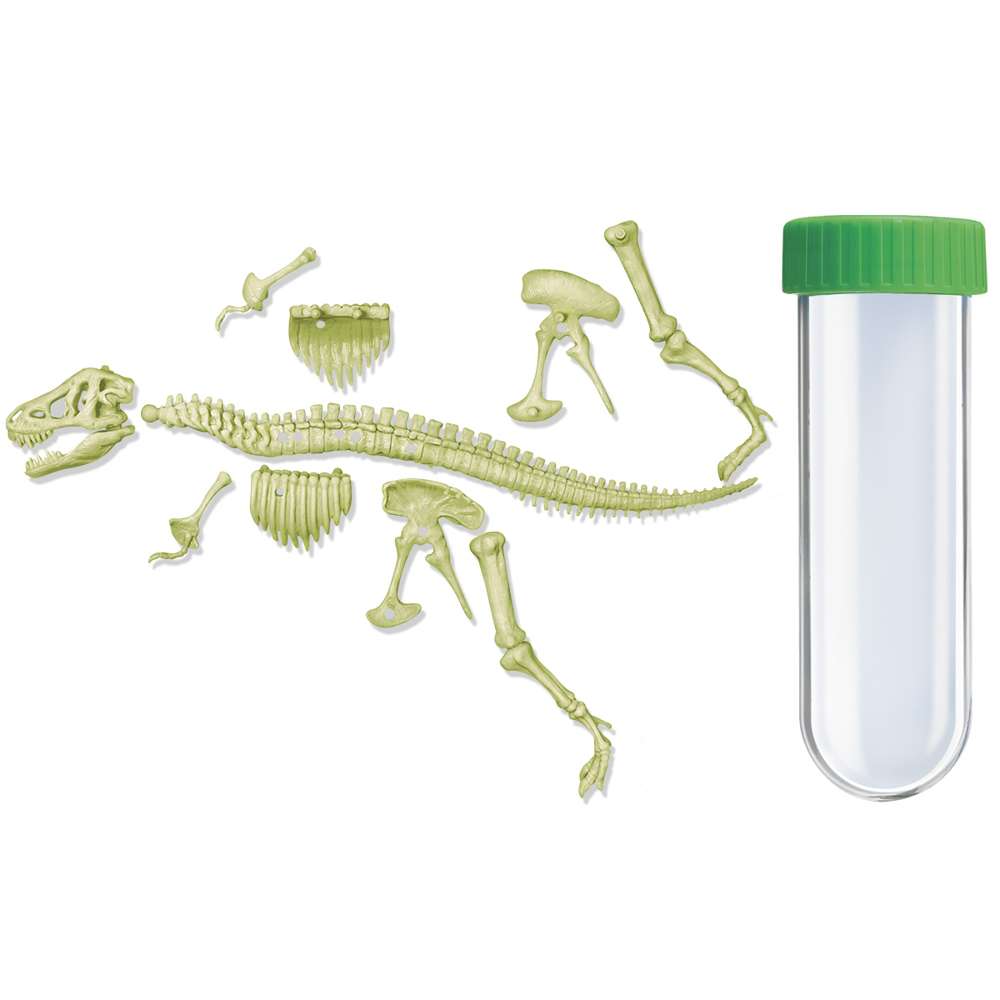 Kidzlabs - Glowing T-rex Skeleton