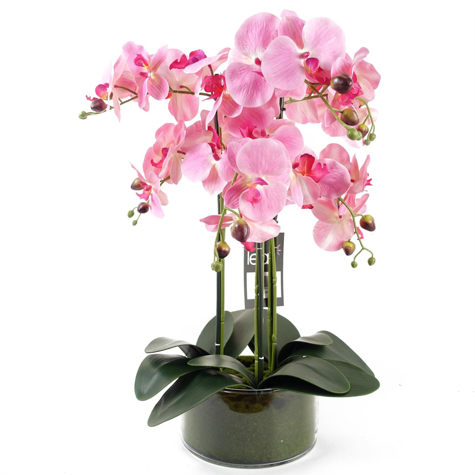 Artificial 50cm Orchid With Glass Planter Pink