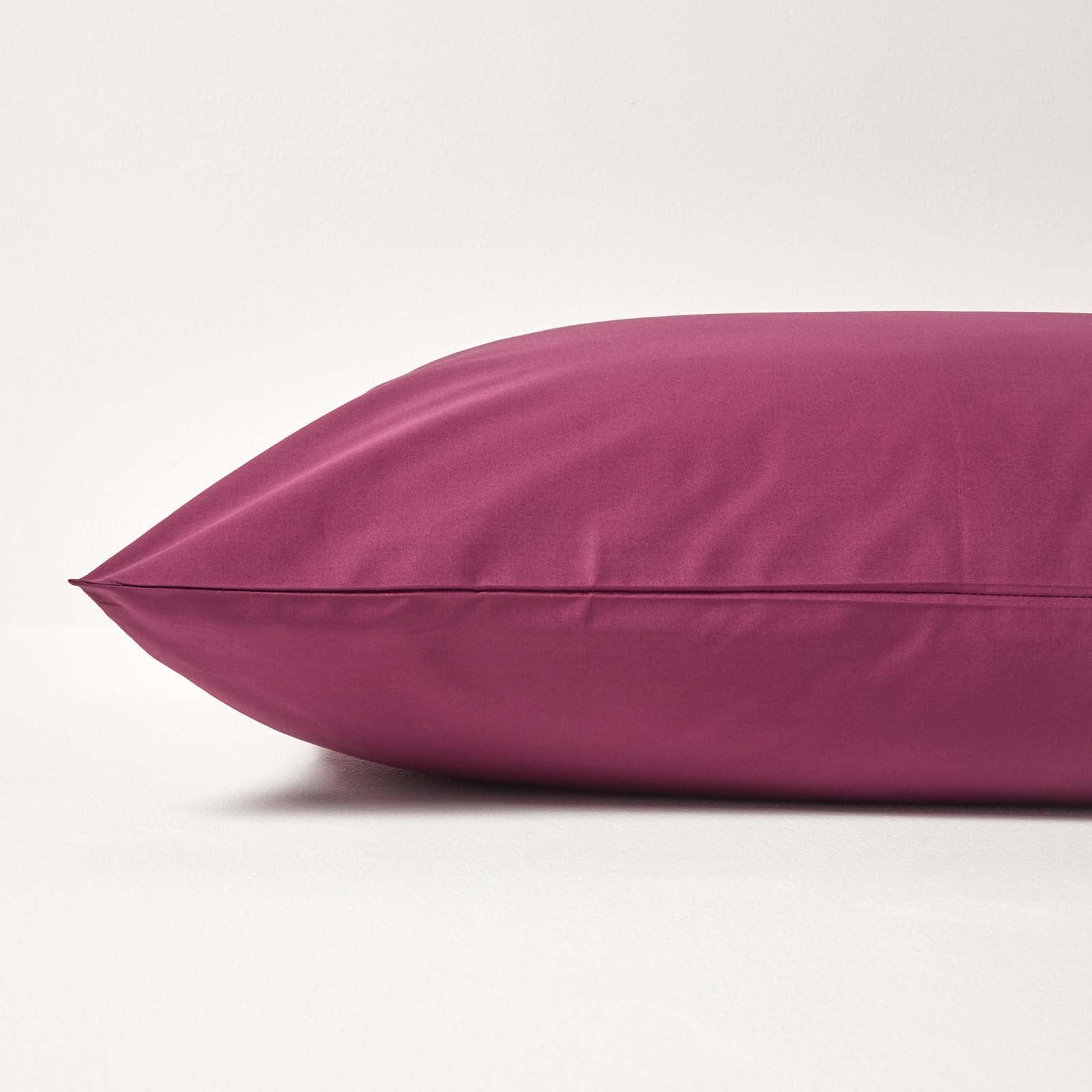 Continental Egyptian Cotton Pillowcase 200 Tc | 60cm x 60cm | Plum