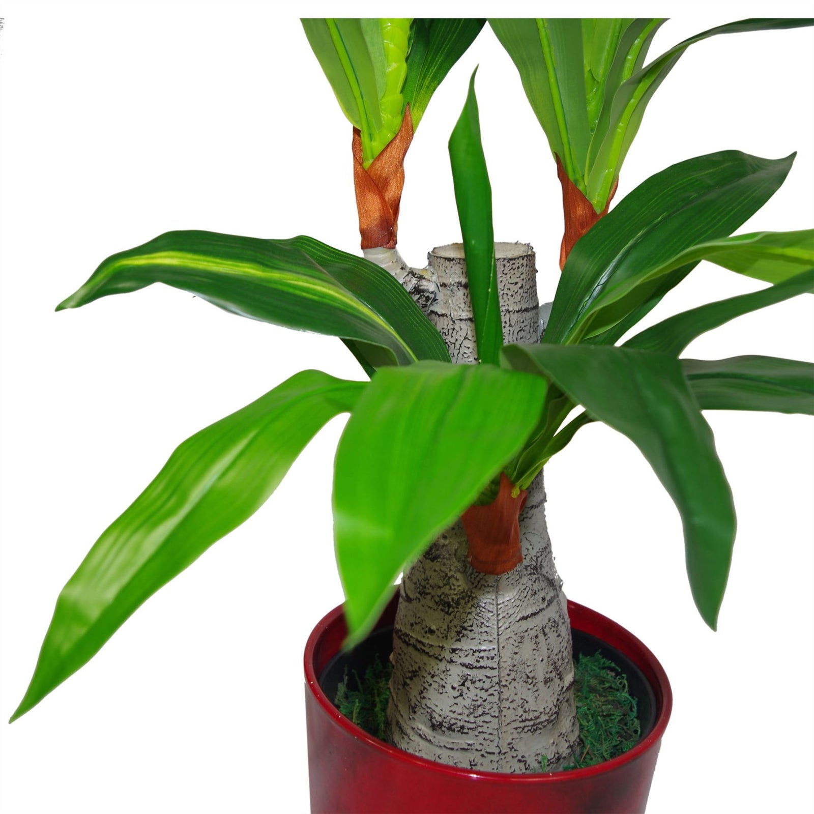 75cm Artificial Dracaena Plant Wide Trunk Triple Branch Large