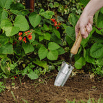 Stainless Steel Transplanting Trowel With Ash Wood Handle & Depth Gauge