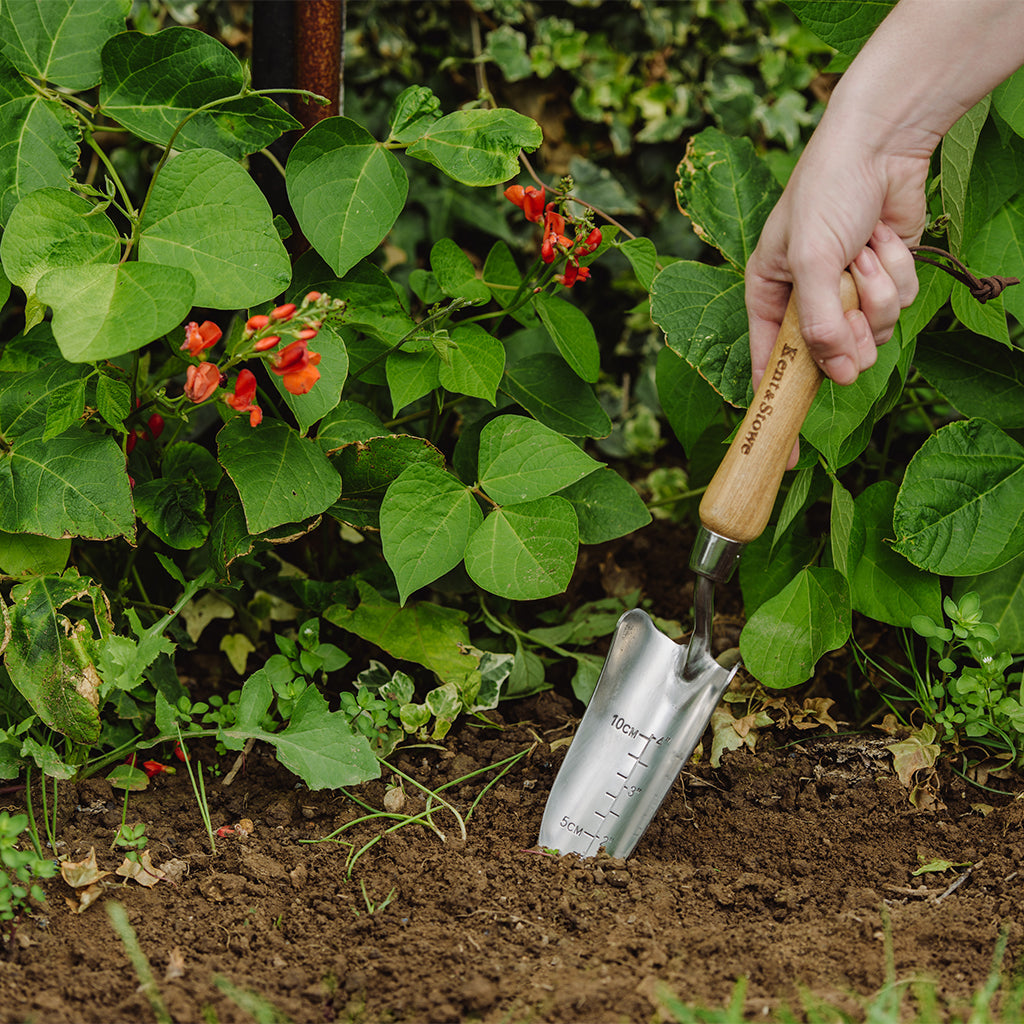 Stainless Steel Transplanting Trowel With Ash Wood Handle & Depth Gauge