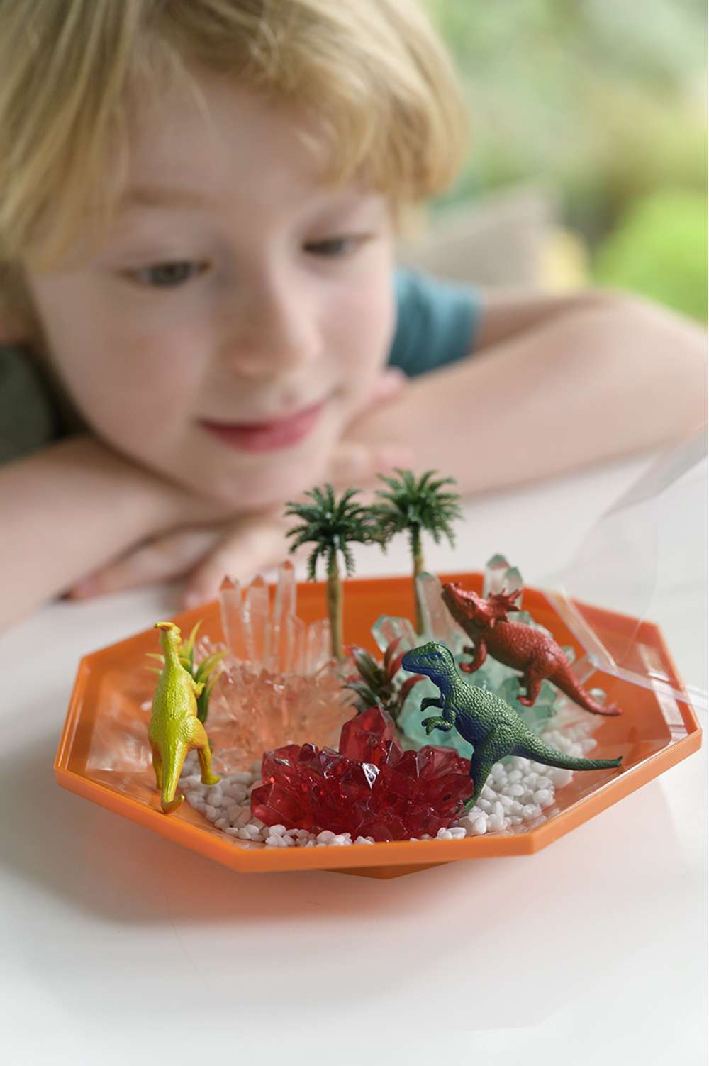 Crystal Growing - Dino Crystal Terrarium