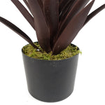 Artificial 85cm Dark Red Yucca Plant