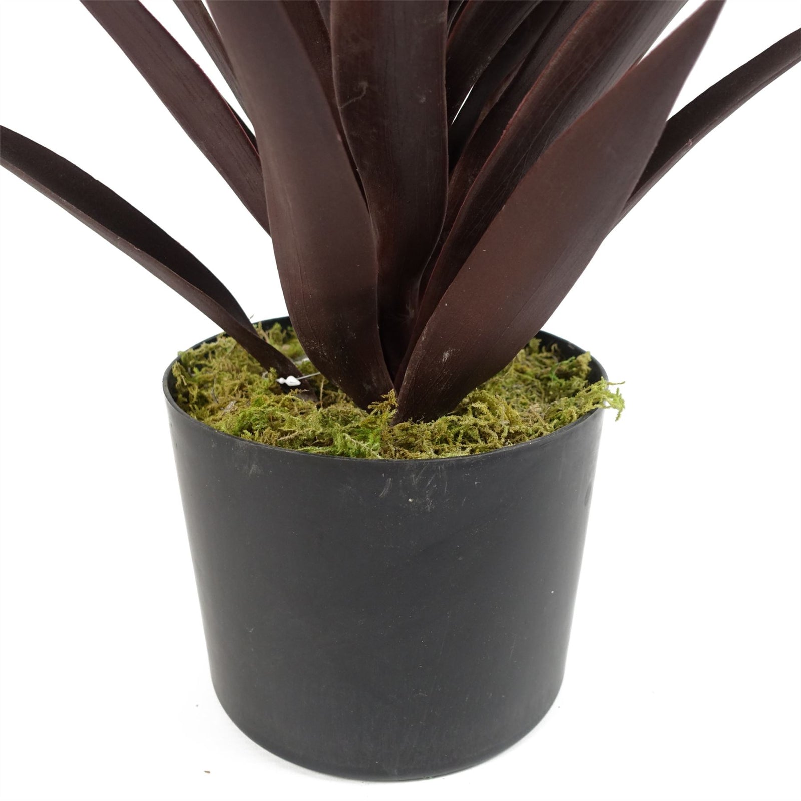 Artificial 85cm Dark Red Yucca Plant