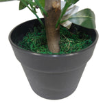 Pair Of 50cm Dwarf Artificial Bay Trees Laurel Topiary Bushes