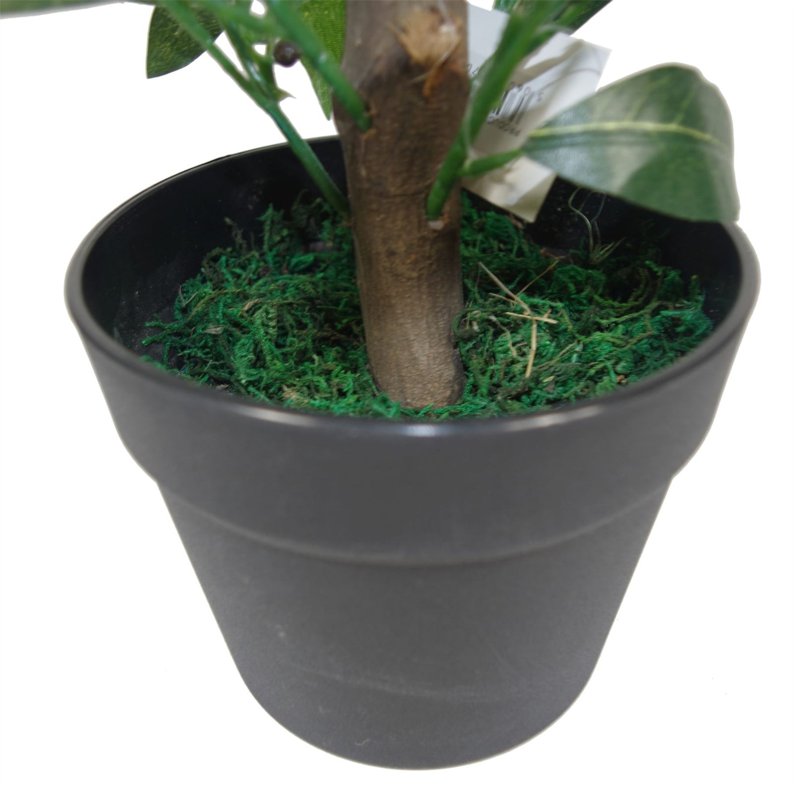 Pair Of 50cm Dwarf Artificial Bay Trees Laurel Topiary Bushes