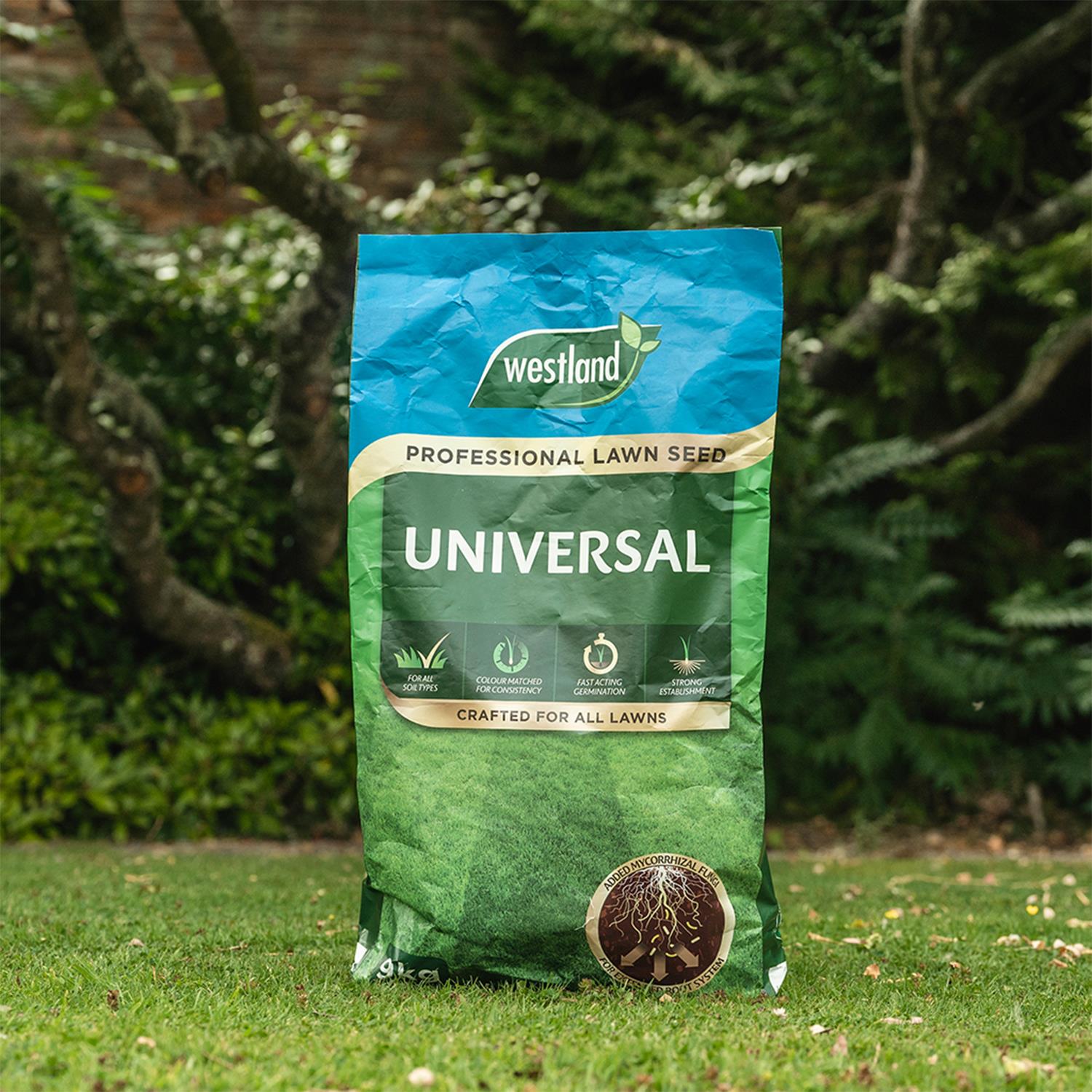 Professional Lawn Seed For All Soil Type 9kg | 9kg