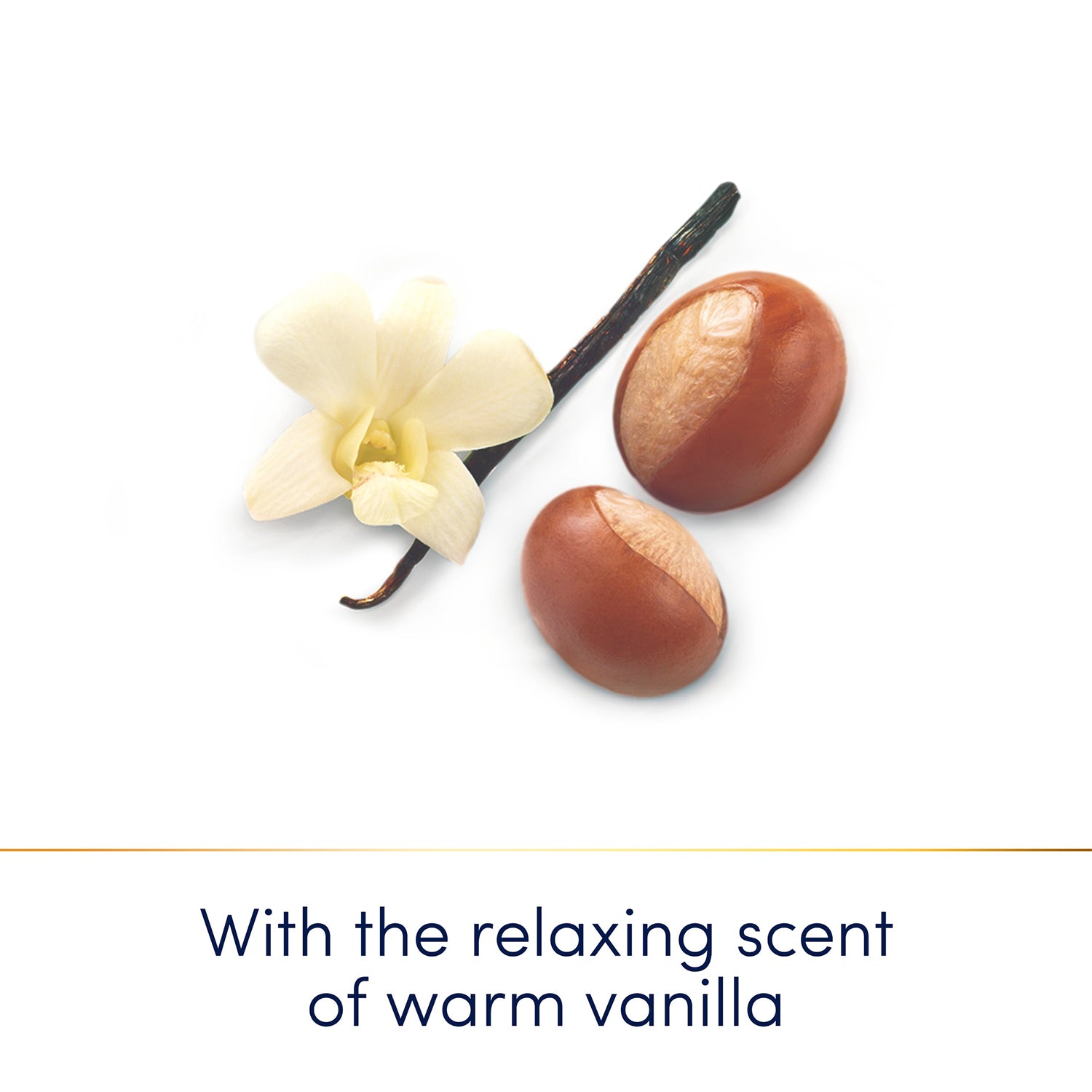 Caring Bath Body Wash Moisturising Cream Shea Butter With Warm Vanilla, 720ml