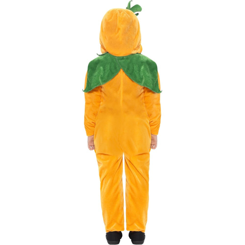 Pumpkin Toddler Costume | Age 3-4