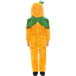 Pumpkin Toddler Costume | Age 1-2