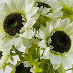 Pack Of 6 X 88cm White Artificial Sunflower - 18 Heads