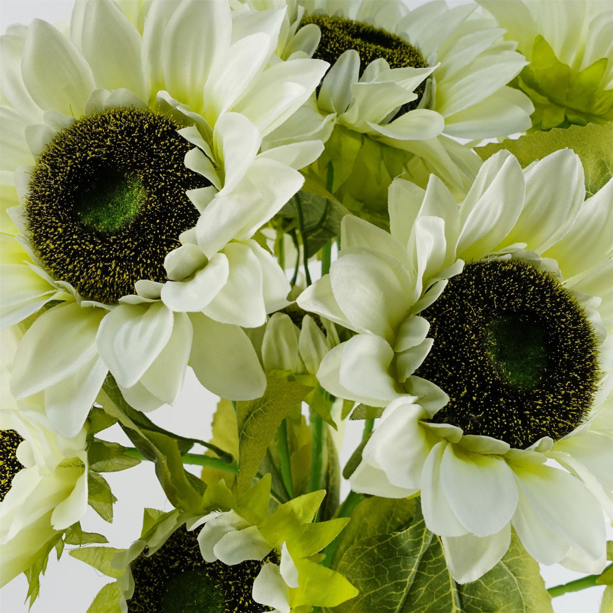 Pack Of 6 X 88cm White Artificial Sunflower 18 Heads