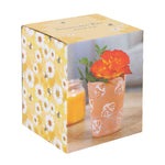 Bee Terracotta Plant Pot | One Size | Brown
