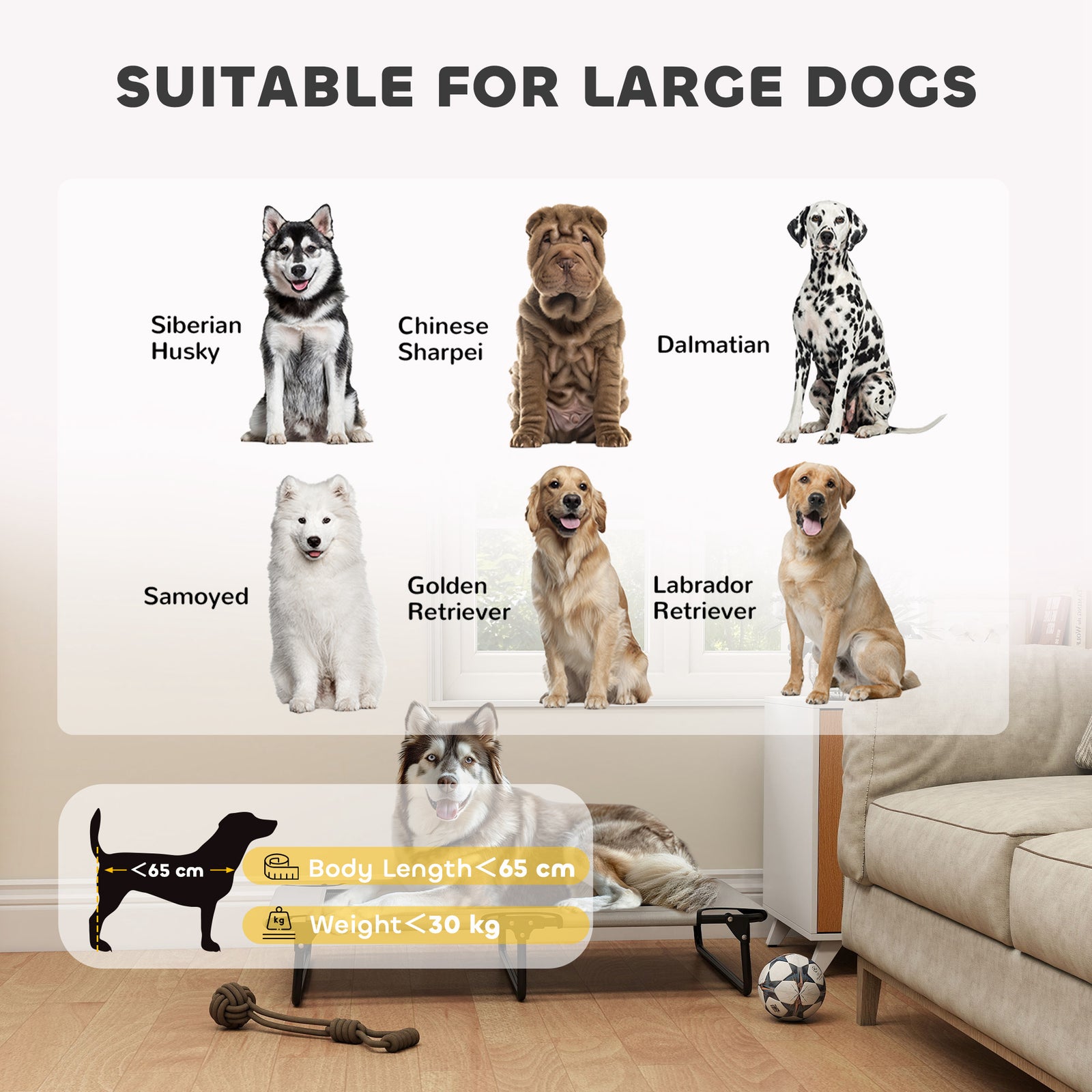 Pawhut Raised Dog Bed With Breathable Mesh For Large Dogs, Light Grey