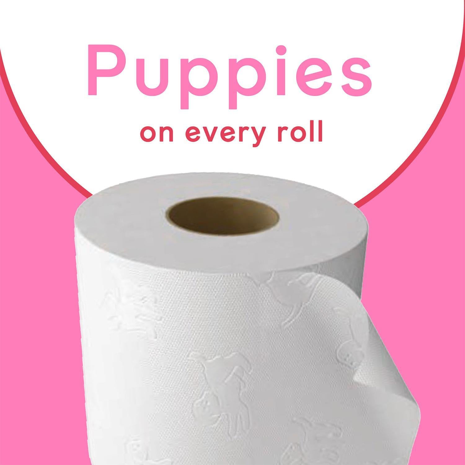 Andrex Gentle 2-ply Toilet Paper 24 Rolls + Ultra Care Washlets 12 Pack