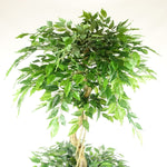 180cm Artificial Twisted Fruticosa Ficus Tree Triple Ball Topiary