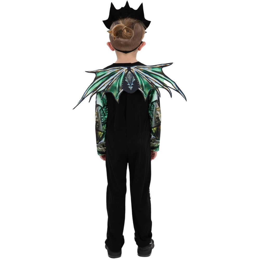 Dragon Costume | Age 10-12