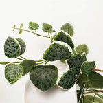 90cm Artificial Potted Trailing Hanging Natural Look Plant Realistic - String Of Hearts