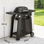2 Burner Gas Grill, 3.8 Kw Barbecue Grill With Cast Iron Grates