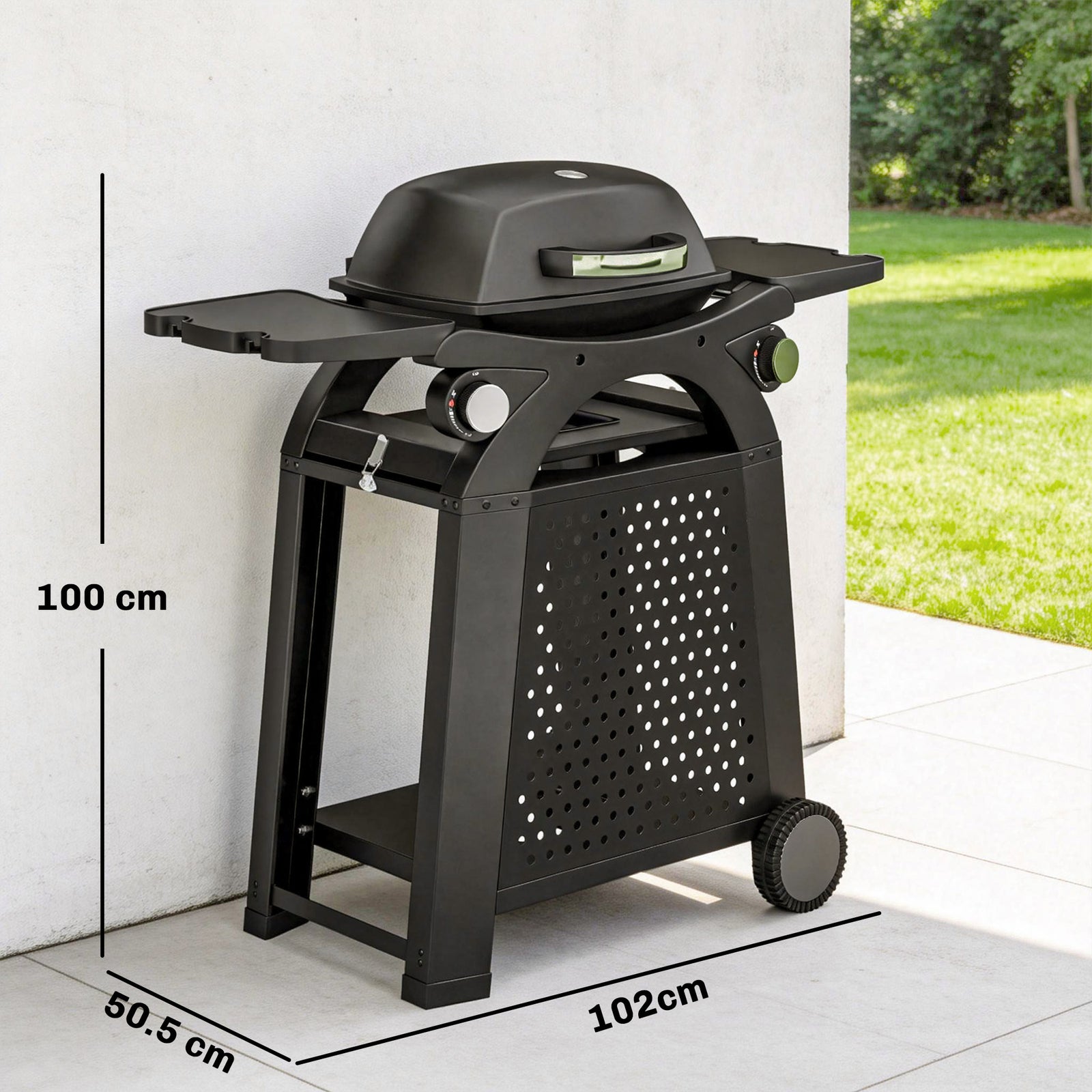 2 Burner Gas Grill, 3.8 Kw Barbecue Grill With Cast Iron Grates